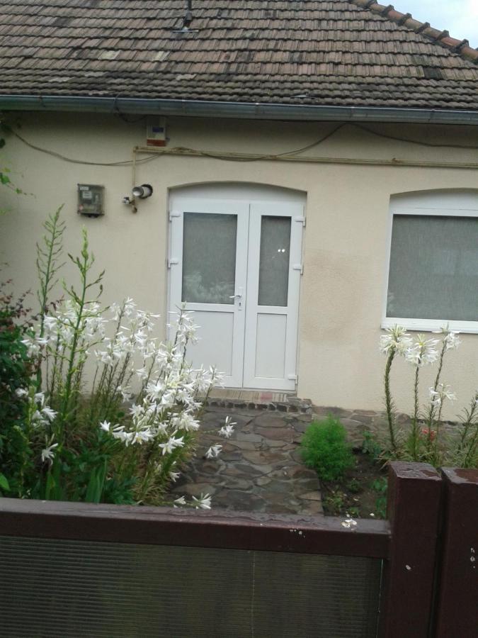 Casa Didina Fosta Pensiune Casa Didina Bacău Exterior foto